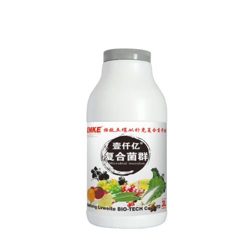 c358d954edfca85cd0de89f15c676b90.png